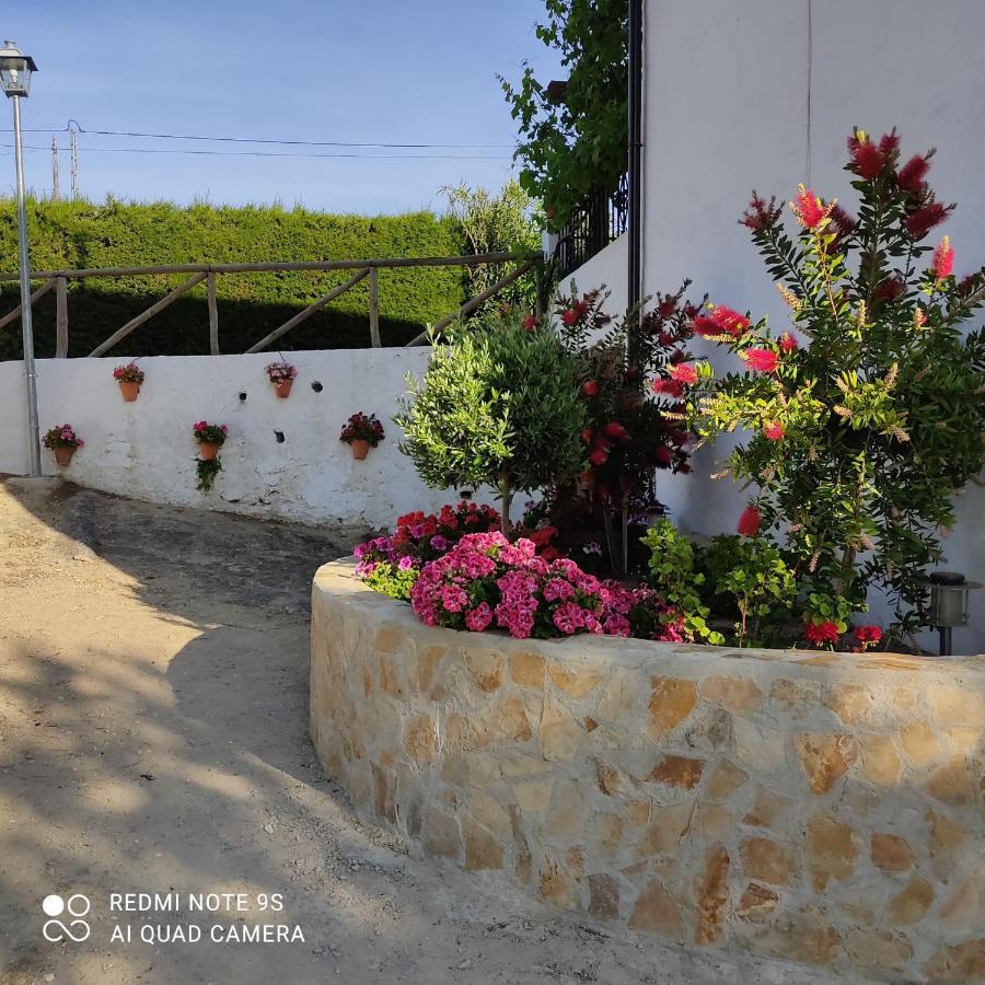 בית הארחה Setenil De Las Bodegas 	La Casa De La Abuela מראה חיצוני תמונה