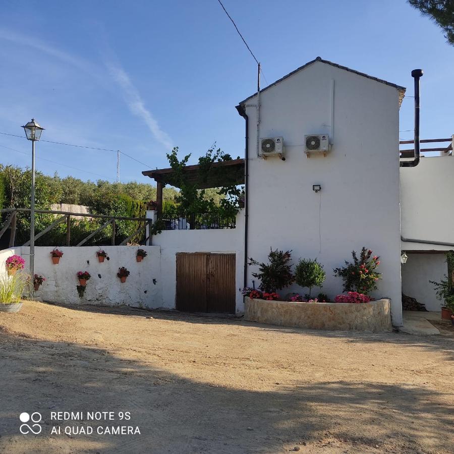 בית הארחה Setenil De Las Bodegas 	La Casa De La Abuela מראה חיצוני תמונה