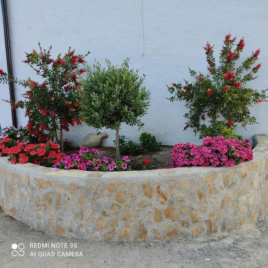 בית הארחה Setenil De Las Bodegas 	La Casa De La Abuela מראה חיצוני תמונה