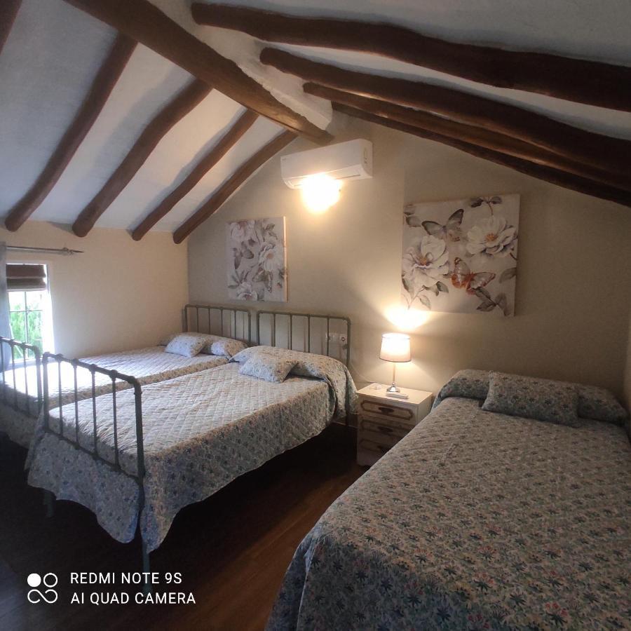 בית הארחה Setenil De Las Bodegas 	La Casa De La Abuela מראה חיצוני תמונה
