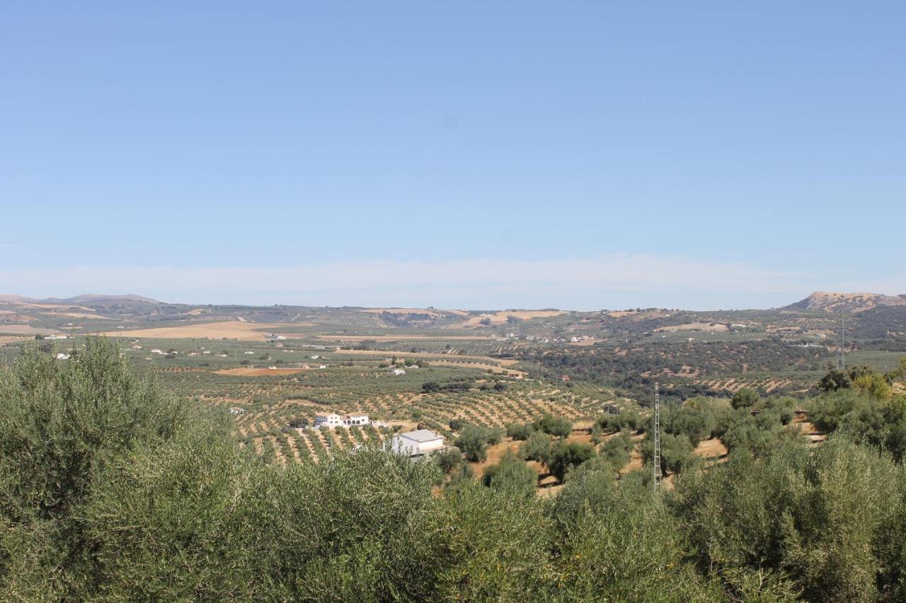 בית הארחה Setenil De Las Bodegas 	La Casa De La Abuela מראה חיצוני תמונה