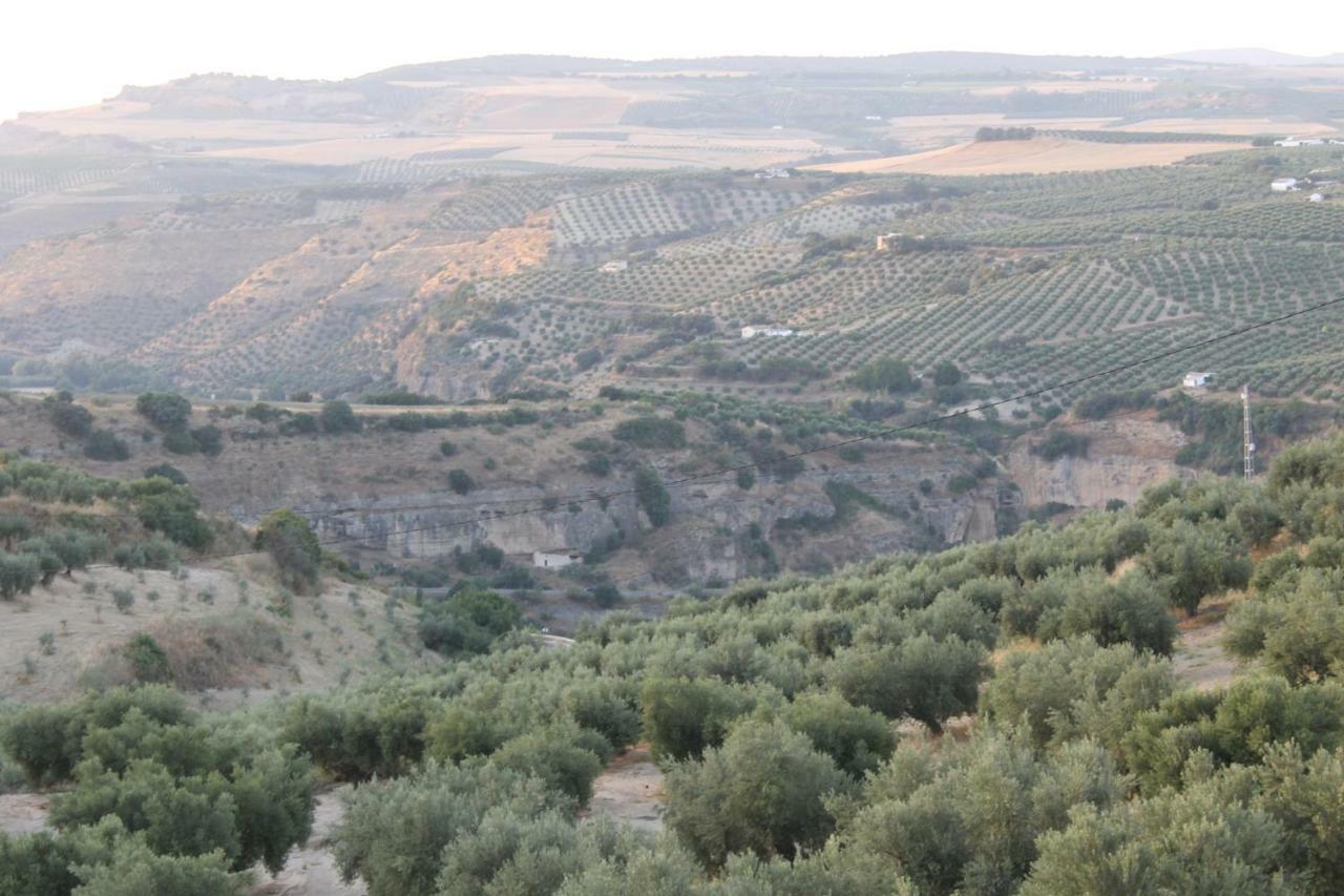 בית הארחה Setenil De Las Bodegas 	La Casa De La Abuela מראה חיצוני תמונה
